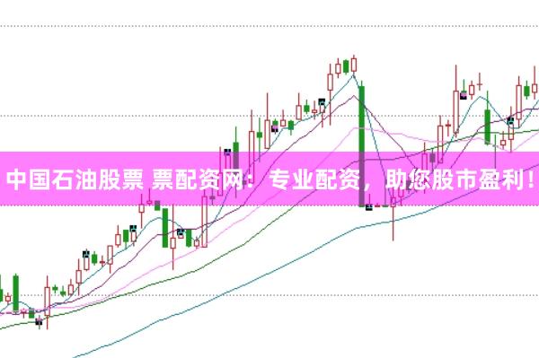 中国石油股票 票配资网：专业配资，助您股市盈利！