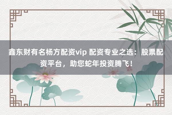 鑫东财有名杨方配资vip 配资专业之选：股票配资平台，助您蛇年投资腾飞！