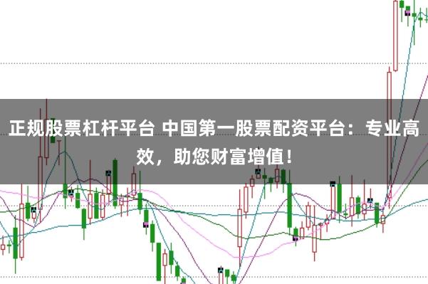 正规股票杠杆平台 中国第一股票配资平台：专业高效，助您财富增值！