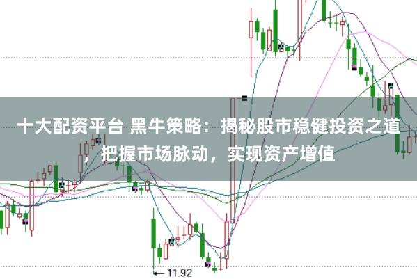 十大配资平台 黑牛策略：揭秘股市稳健投资之道，把握市场脉动，实现资产增值