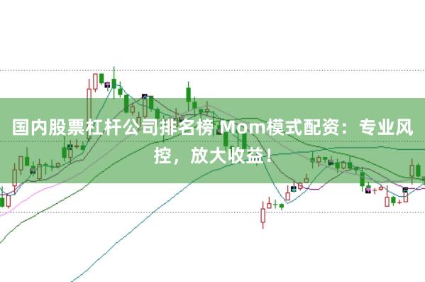 国内股票杠杆公司排名榜 Mom模式配资：专业风控，放大收益！