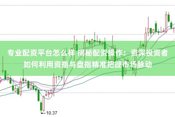 专业配资平台怎么样 揭秘配资操作：资深投资者如何利用资指与盘指精准把握市场脉动