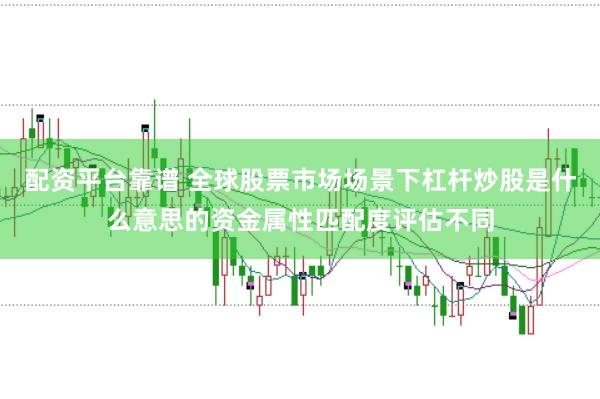 配资平台靠谱 全球股票市场场景下杠杆炒股是什么意思的资金属性匹配度评估不同