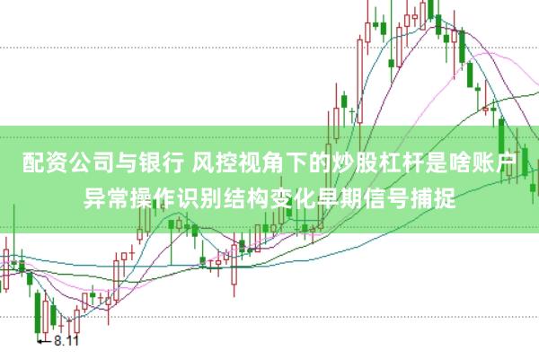 配资公司与银行 风控视角下的炒股杠杆是啥账户异常操作识别结构变化早期信号捕捉