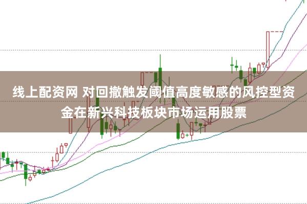 线上配资网 对回撤触发阈值高度敏感的风控型资金在新兴科技板块市场运用股票