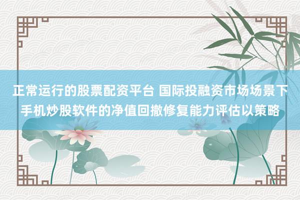 正常运行的股票配资平台 国际投融资市场场景下手机炒股软件的净值回撤修复能力评估以策略