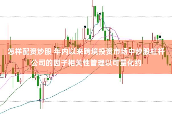 怎样配资炒股 年内以来跨境投资市场中炒股杠杆公司的因子相关性管理以可量化约