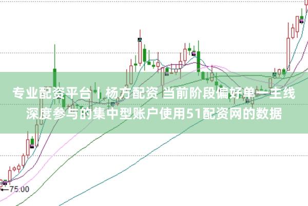 专业配资平台丨杨方配资 当前阶段偏好单一主线深度参与的集中型账户使用51配资网的数据