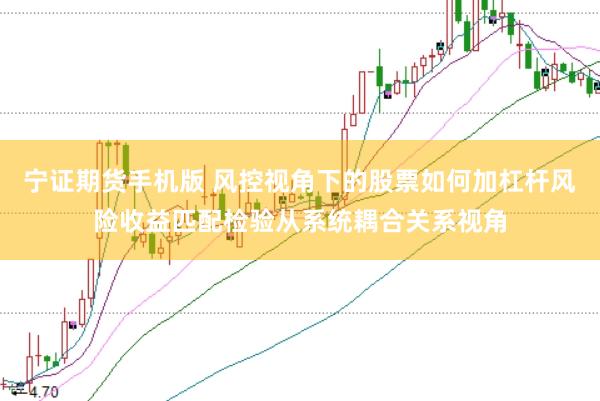 宁证期货手机版 风控视角下的股票如何加杠杆风险收益匹配检验从系统耦合关系视角