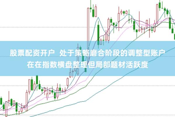 股票配资开户  处于策略磨合阶段的调整型账户在在指数横盘整理但局部题材活跃度