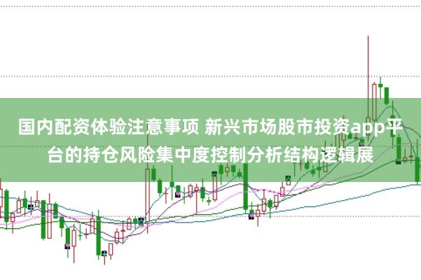 国内配资体验注意事项 新兴市场股市投资app平台的持仓风险集中度控制分析结构逻辑展