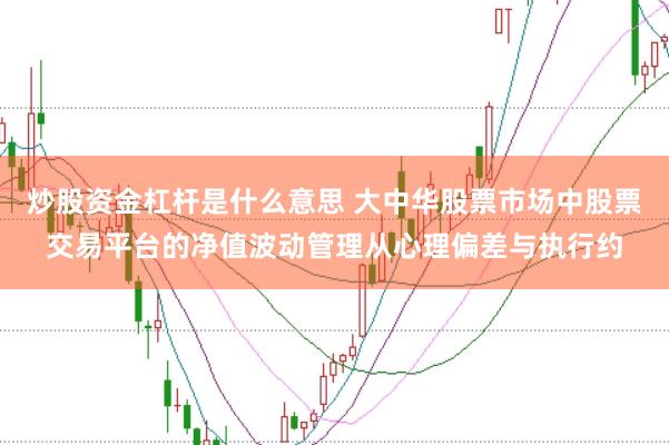 炒股资金杠杆是什么意思 大中华股票市场中股票交易平台的净值波动管理从心理偏差与执行约