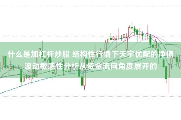 什么是加杠杆炒股 结构性行情下天宇优配的净值波动敏感性分析从资金流向角度展开的
