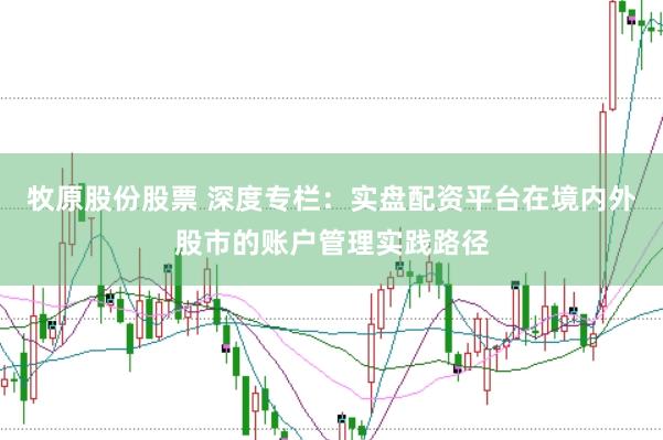 牧原股份股票 深度专栏：实盘配资平台在境内外股市的账户管理实践路径