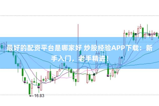 最好的配资平台是哪家好 炒股经验APP下载：新手入门，老手精进！