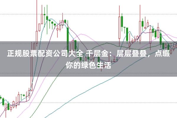 正规股票配资公司大全 千层金：层层叠叠，点缀你的绿色生活