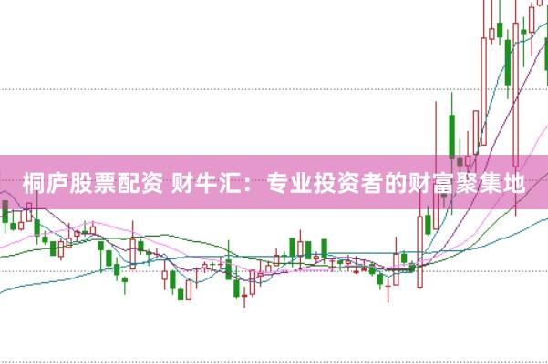 桐庐股票配资 财牛汇：专业投资者的财富聚集地